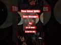 3 Messages #shorts #animalspirit #spiritualmessage #guidedmessages #oraclecards #spirituality #soul