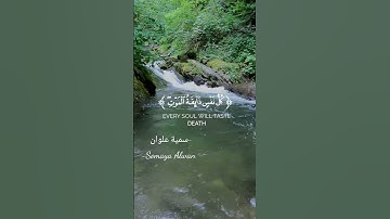 سورة العنكبوت الآية(56)||يَا عِبَادِيَ الَّذِينَ آمَنُوا||القارئ إسلام صبحي #قرآن
