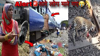 Don't make this mistake in the jungle train🙏Jungle Safari 🚂 Leopard Attack | Tiger Reserve Wildli...