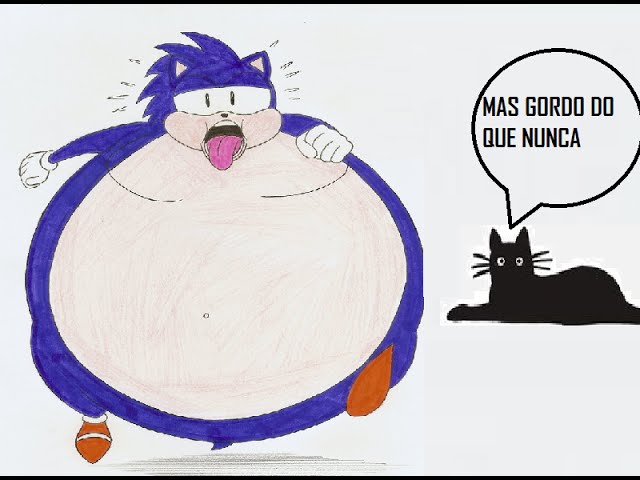 Não Repare na Bagunça: Sonic 2 XL - O Ouriço Mais Gordo do Mundo!