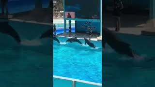 Zoomarine Rome Italy