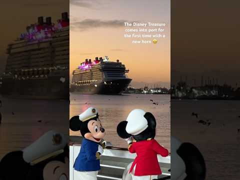 Disney Treasure Arrives