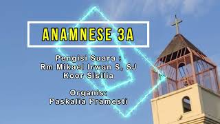 ANAMNESE-3A