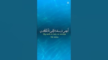 القرآن الكريم .تلاوة هادئة تريح انفس #راحة_نفسية #المصحف #الرحمن #اكسبلور