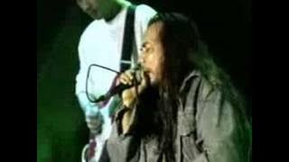 sweet charity-teratai