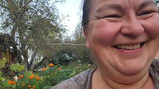 видео: ОДНА В ДЕРЕВНЕ осень на дворе картинка: ОДНА В ДЕРЕВНЕ осень на дворе