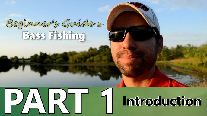 Beginner's Guide to BASS FISHING - Part 5 - Baits and Tackle 