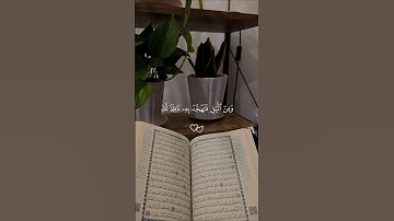 إن قرءان الفجر كان مشهودا… تلاوة تهز القلوب 😴♡| #قرآن #تلاوة_خاشعة #فارس_عباد #راحة_نفسية