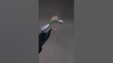 Emerger Midge tied with deer hair and stretch tubing.  Bullet Head style.