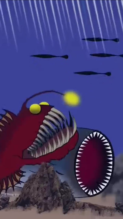 Bloop VS Worm VS Anglerfish
