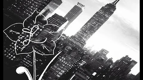 Lindsay Viola-Vu :: Apparel Design & Manufacturing...