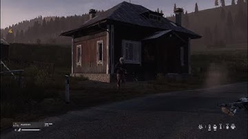 Funny DayZ Clips, Random Encounters