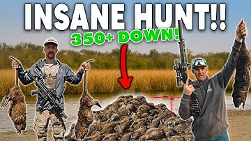 I Hunted The Most Destructive Pest in America!