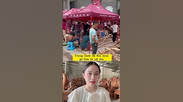 Gỗ sưa - loại gỗ quý hiếm bậc nhất Việt Nam #gỗ_tự_nhiên #gỗ_việt_bắc