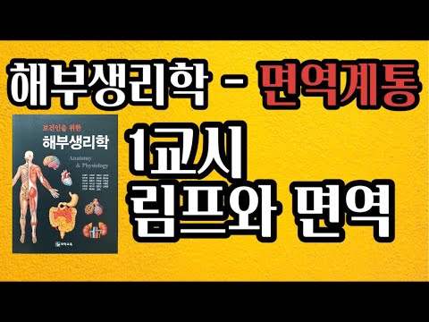 [해부생리학] 면역계통 림프와 면역