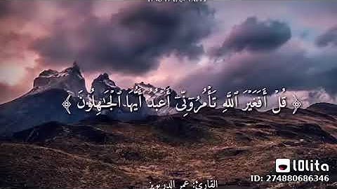 قل أفغير الله تأمروني أعبد أيها الجاهلون || قرآن كريم عمر الدريويز