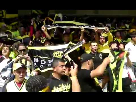 YOU LL NEVER WALK ALONE FROM ALGERIA BVB FANS USMH