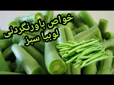 خواص لوبیا سبز و معجزه آن برای بدن