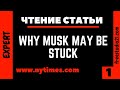 Чтение и перевод статьи Why Musk May Be Stuck -1