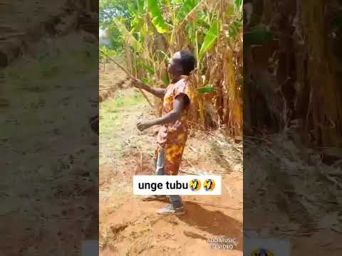 Anachafua Mazingila Comedy Musci