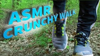 ASMR Walking. Walk in the Woods.Nature Sounds/No Talking