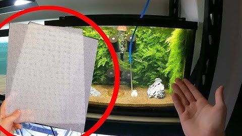 Moss Wall DIY (Guide & Tutorial)