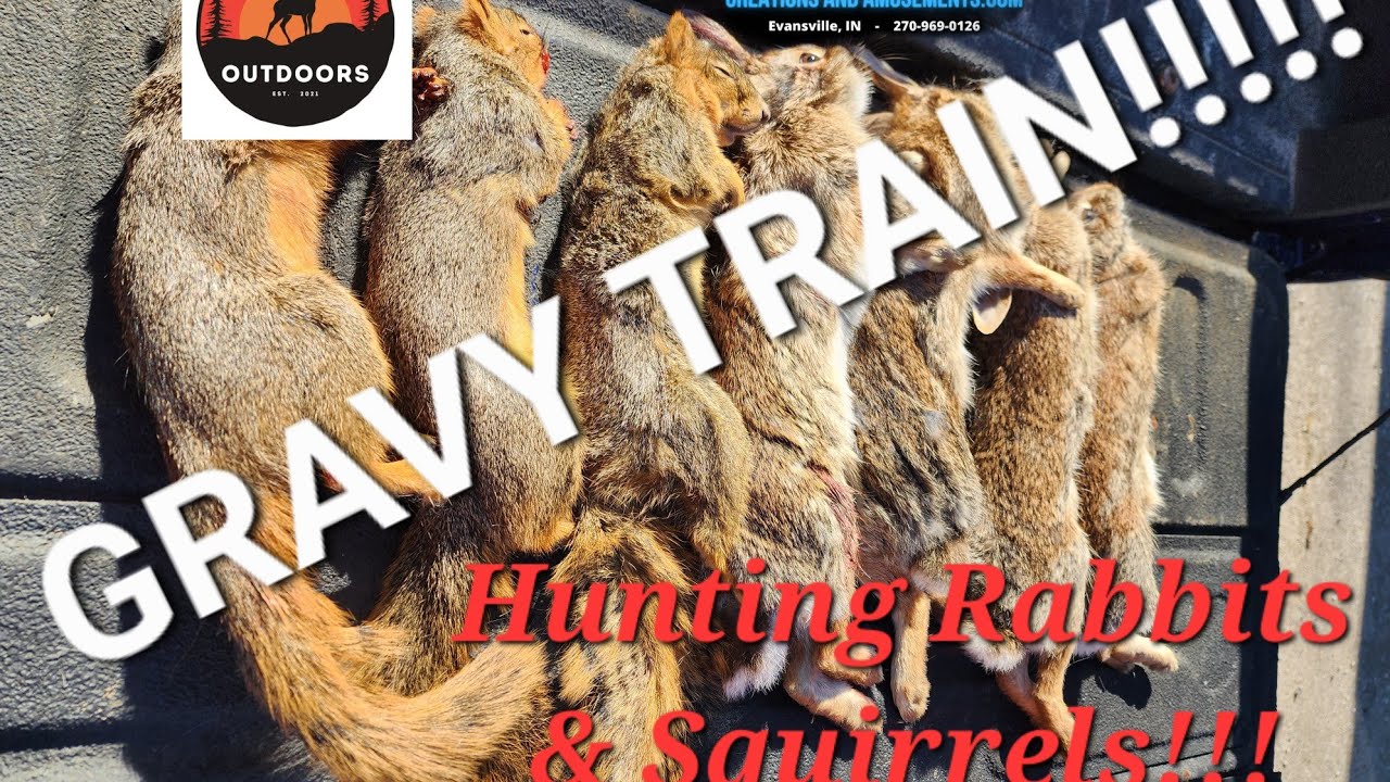 Fun Day Hunting Squirrels & Rabbits With A 20 Gauge YouTube