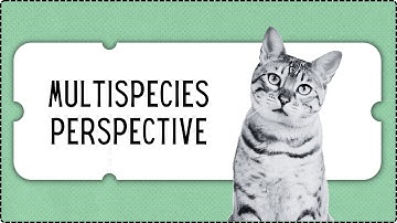 Multispecies Perspective (Episode #4 of An Archipelago of Information Science)
