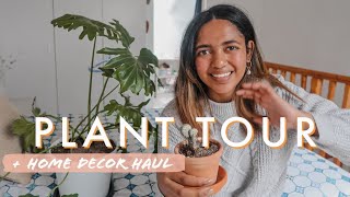 MRP \& PEP Home Decor Haul (Under R100!) + Indoor HOUSEPLANT Tour!