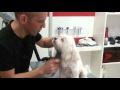 Hundesalon "Schick & G`sund"