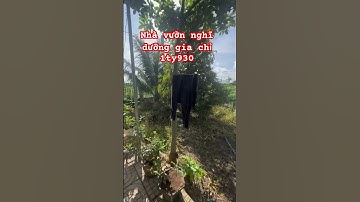 Nhà vườn ngay long Tân đất đỏ brvt #bdss #automobile #bbds #mientay #bds #travel