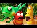 LARVA | побег из болота | Мультфильмы для детей | WildBrain