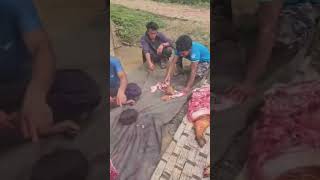 120 kg local pig cutting. #shorts #trending #video