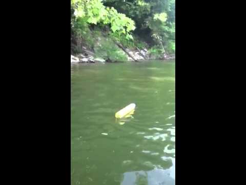 Terry Noodling On Herrington Lake Youtube