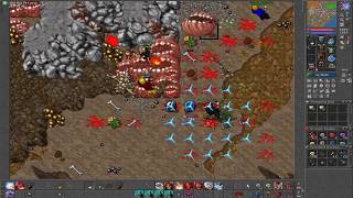 Tibia Carnera WAR►Battle Roshamuul★Intensity Alliance vs Last Turn★ 🔥Y🔥