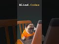 Blind Codes, your A.I assistant during code interview