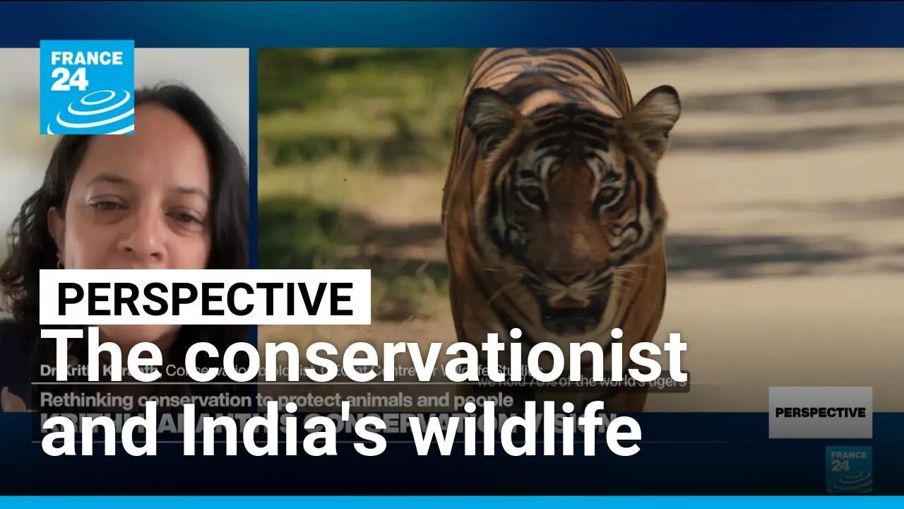 'My childhood passion is now a lifetime commitment': Wildlife conservationist Krithi Karanth