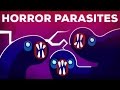 The Most Gruesome Parasites  Neglected Tropical Diseases  NTDs