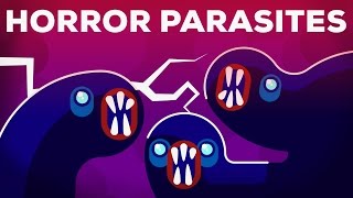 The Most Gruesome Parasites – NTDs Explained