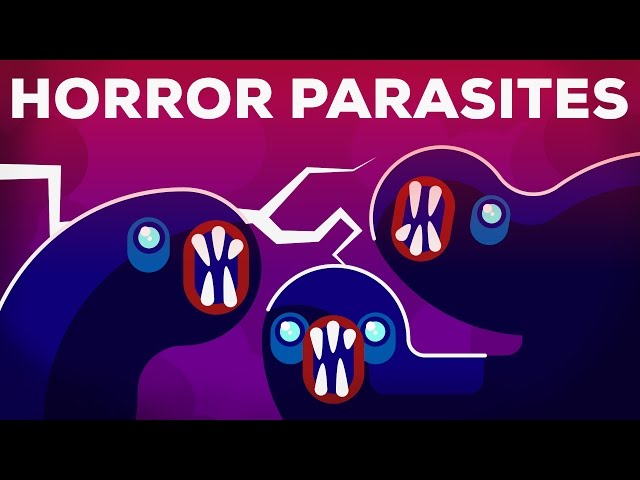 The Most Gruesome Parasites – Neglected Tropical Diseases – NTDs class=