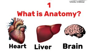 Understand the True meaning of Anatomy with these 10 Questions and Answers