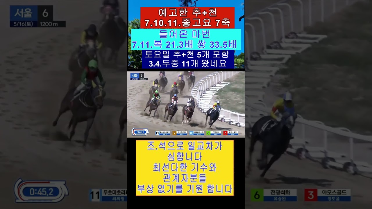 추+천 역시 7번 마이아 기수 우승 축하 영상 보기