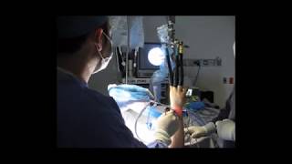 Javier Eduardo Espinosa Valencia-29