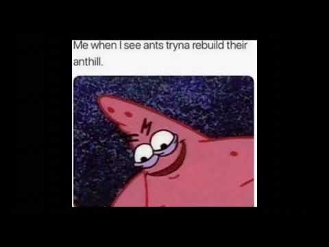 Evil Patrick Memes - YouTube