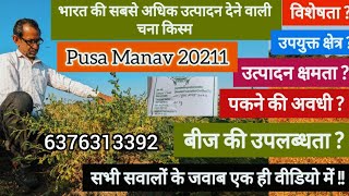 Pusa Manav Chana Best Chana Variety Pusa Manav Chickpea 20211 उखठ मकत चन कसम पस मनव