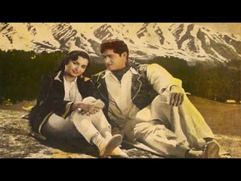 Zulf Ki Chhaon Men  Asha Bhosle   MohdRafi  Majrooh  OPNayyar  Phir Wohi Dil Laya Hoon 1963