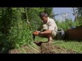 Jardin en champagne ardennes  les potagers de guillaume