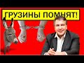 СААКАШВИЛИ РАБОТАЕТ КАК ИШАК!