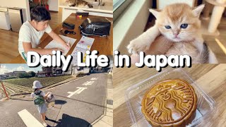 Daily life in Japan | welcome new kittens by Bee Abe 172 views 2 years ago 13 minutes, 9 seconds