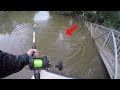 Catching HUGE Catfish in the Backwaters of a FLOODED CREEK